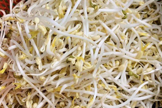5 lợi ích sức khỏe tuyệt vời của giá đỗ ít người biết